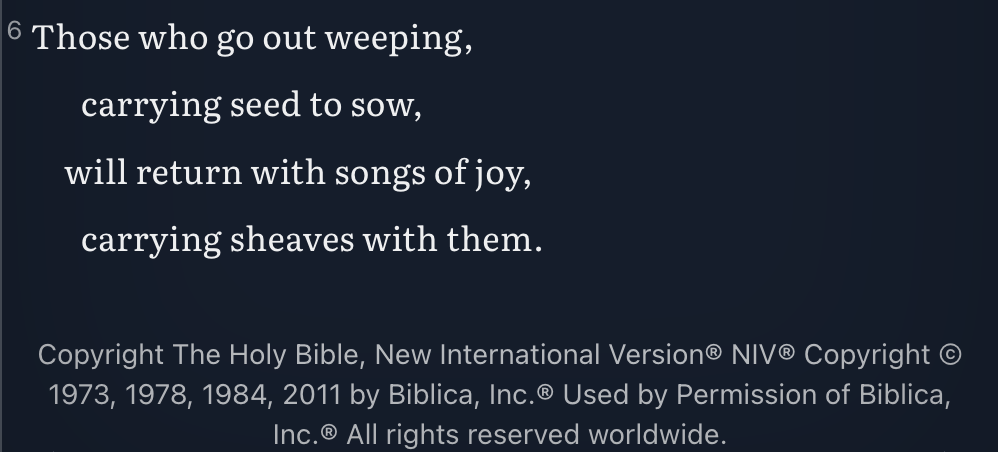 A short copyright notice for the New International Version shown beneath the scripture text at the bottom of a chapter.