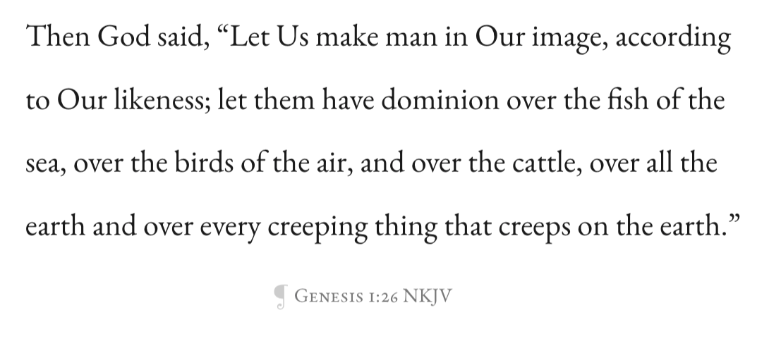 A printed verse with the reference “Genesis 1:26 NKJV” shown beneath it.